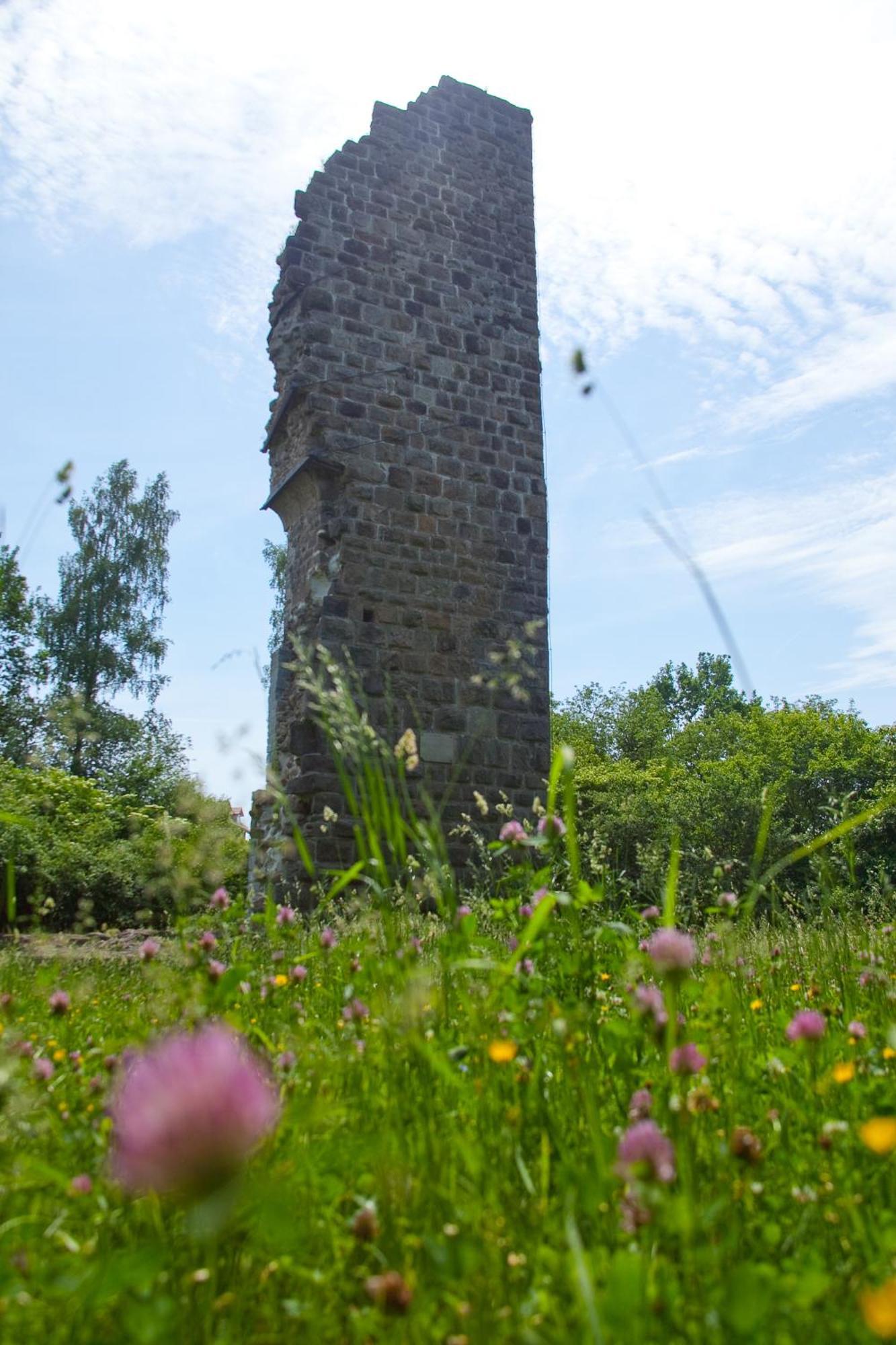 Gasthaus Am Oedenturm Chammünster المظهر الخارجي الصورة